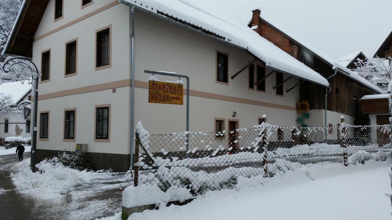 Apartment Apartmaji Mezan