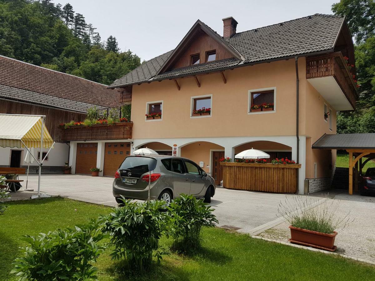 Apartmaji Mezan *