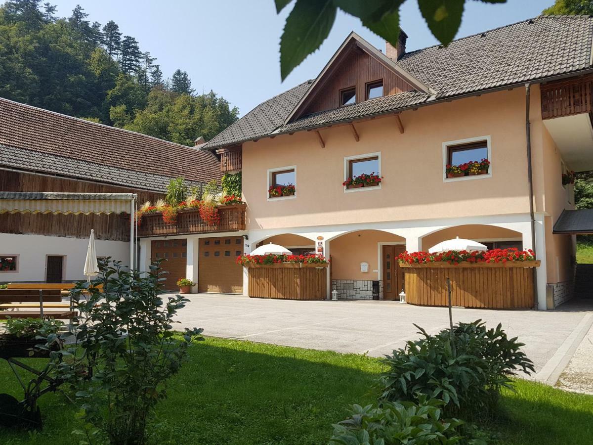 Apartmaji Mezan *